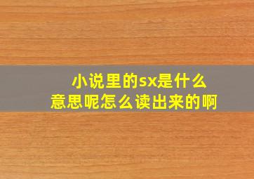 小说里的sx是什么意思呢怎么读出来的啊