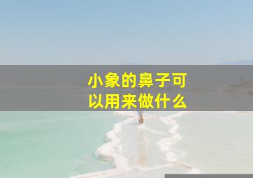 小象的鼻子可以用来做什么