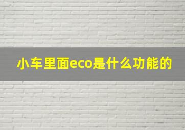 小车里面eco是什么功能的