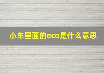 小车里面的eco是什么意思