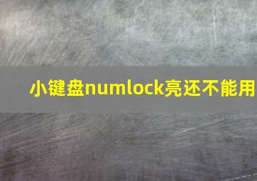 小键盘numlock亮还不能用