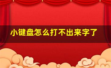 小键盘怎么打不出来字了