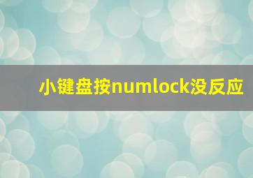 小键盘按numlock没反应