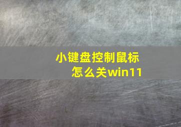 小键盘控制鼠标怎么关win11