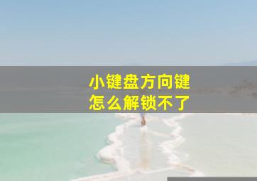 小键盘方向键怎么解锁不了