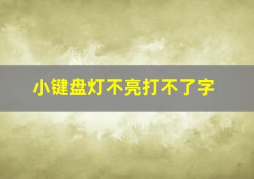 小键盘灯不亮打不了字