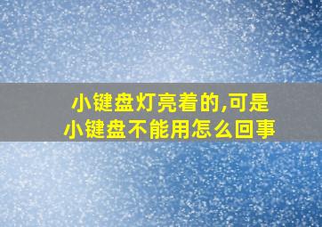 小键盘灯亮着的,可是小键盘不能用怎么回事