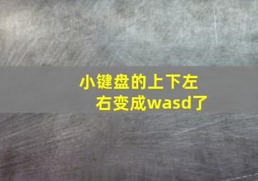 小键盘的上下左右变成wasd了