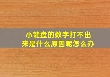 小键盘的数字打不出来是什么原因呢怎么办