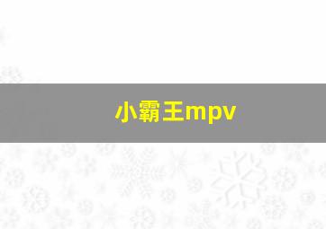 小霸王mpv