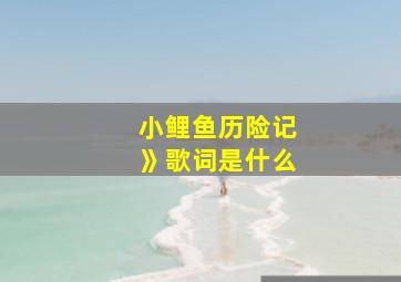 小鲤鱼历险记》歌词是什么