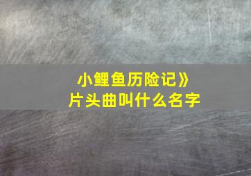 小鲤鱼历险记》片头曲叫什么名字