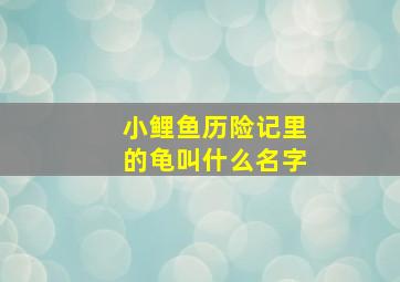 小鲤鱼历险记里的龟叫什么名字