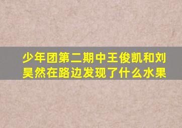 少年团第二期中王俊凯和刘昊然在路边发现了什么水果