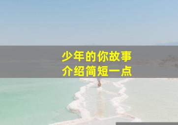 少年的你故事介绍简短一点