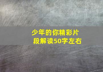 少年的你精彩片段解读50字左右