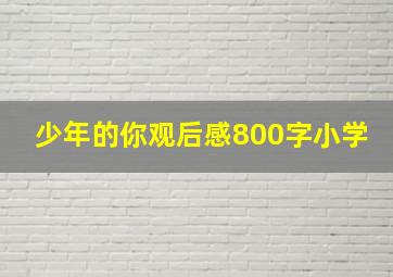 少年的你观后感800字小学