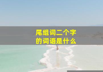 尾组词二个字的词语是什么