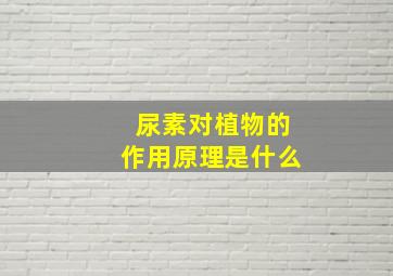 尿素对植物的作用原理是什么