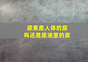 尿素是人体的尿吗还是尿液里的尿