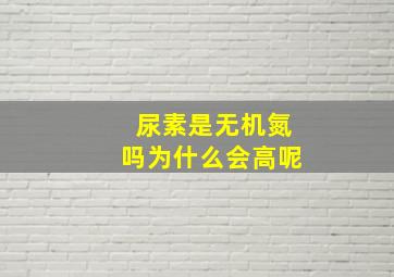 尿素是无机氮吗为什么会高呢