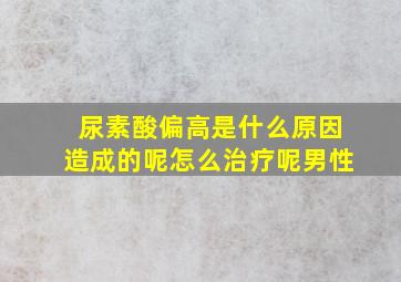 尿素酸偏高是什么原因造成的呢怎么治疗呢男性