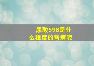 尿酸598是什么程度的肾病呢