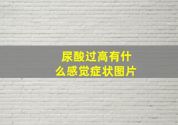 尿酸过高有什么感觉症状图片