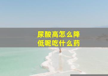 尿酸高怎么降低呢吃什么药