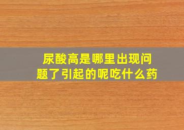 尿酸高是哪里出现问题了引起的呢吃什么药