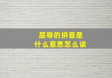 屈辱的拼音是什么意思怎么读