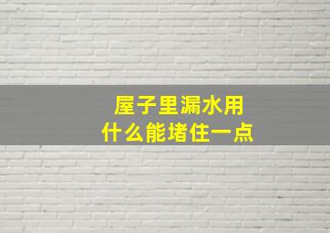 屋子里漏水用什么能堵住一点