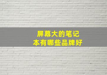 屏幕大的笔记本有哪些品牌好