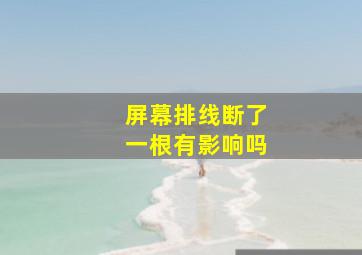 屏幕排线断了一根有影响吗