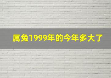 属兔1999年的今年多大了