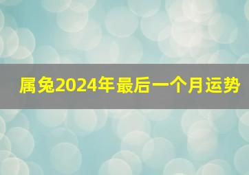 属兔2024年最后一个月运势