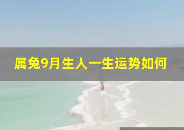 属兔9月生人一生运势如何