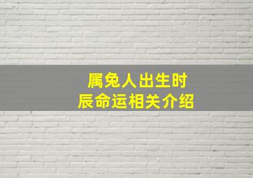 属兔人出生时辰命运相关介绍