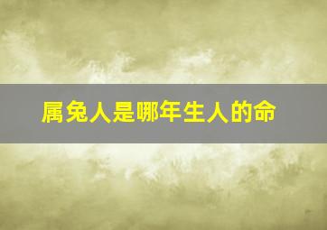 属兔人是哪年生人的命