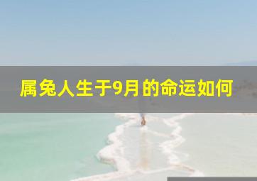 属兔人生于9月的命运如何