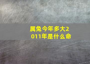 属兔今年多大2011年是什么命