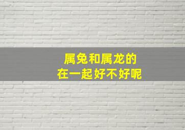 属兔和属龙的在一起好不好呢