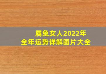 属兔女人2022年全年运势详解图片大全