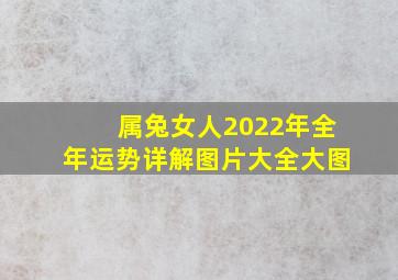 属兔女人2022年全年运势详解图片大全大图