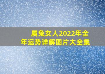 属兔女人2022年全年运势详解图片大全集