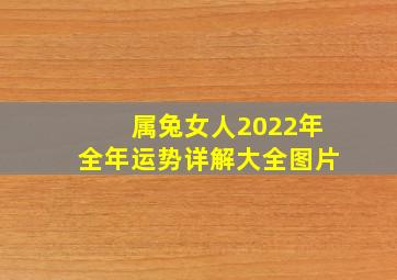 属兔女人2022年全年运势详解大全图片