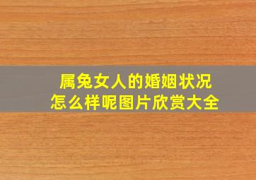 属兔女人的婚姻状况怎么样呢图片欣赏大全