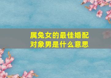 属兔女的最佳婚配对象男是什么意思