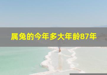 属兔的今年多大年龄87年