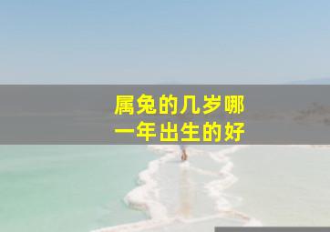 属兔的几岁哪一年出生的好